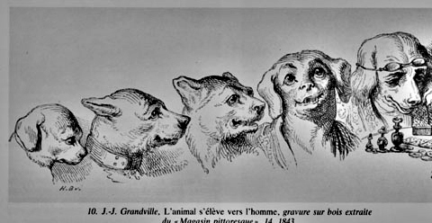 grandville-du-chien-alhomme